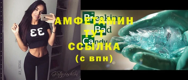 прущие грибы Сатка