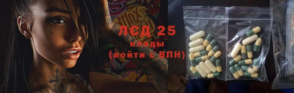 прущие грибы Сатка