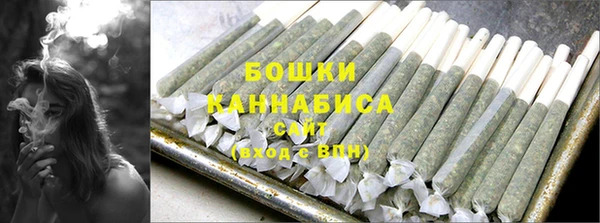 прущие грибы Сатка