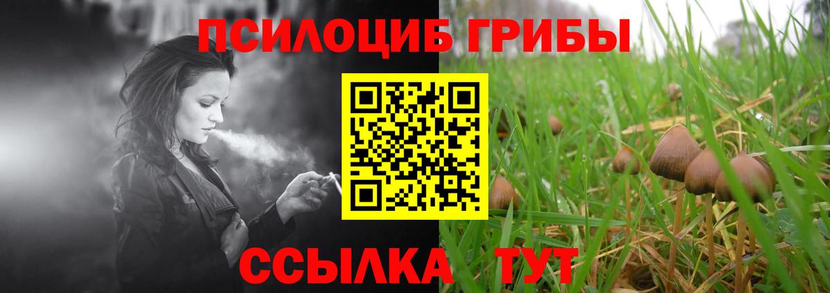 Псилоцибиновые грибы GOLDEN TEACHER  Псилоцибиновые грибы MAGIC MUSHROOMS  Вход с VPN  Каменка 