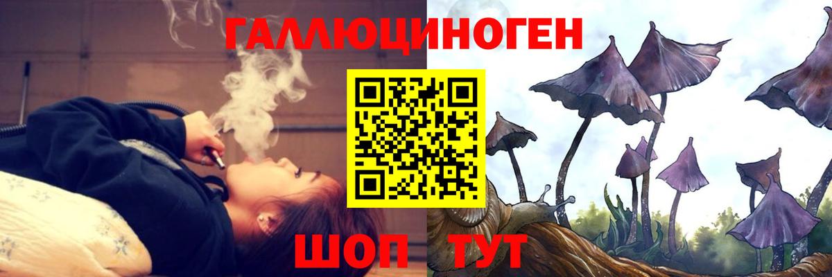 Галлюциногенные грибы Cubensis Каменка